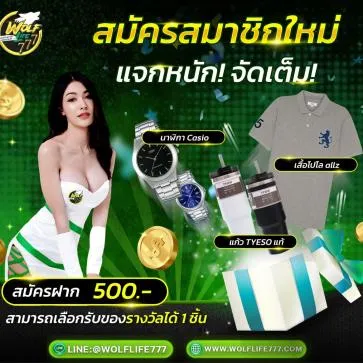 เว็บสล็อตwolflife777